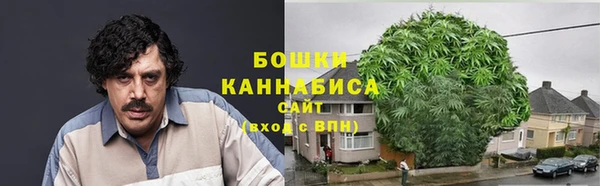 ешки Дмитриев