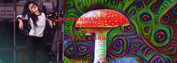 PSILOCYBIN Дмитров