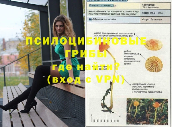 ешки Дмитриев