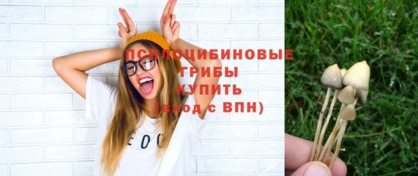 ешки Дмитриев