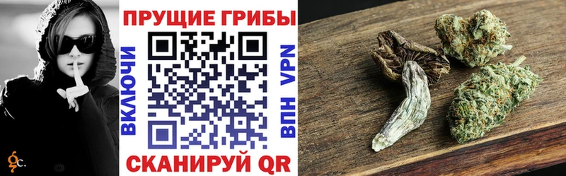 гидра сайт  купить наркотик  Ишимбай  Псилоцибиновые грибы ЛСД 